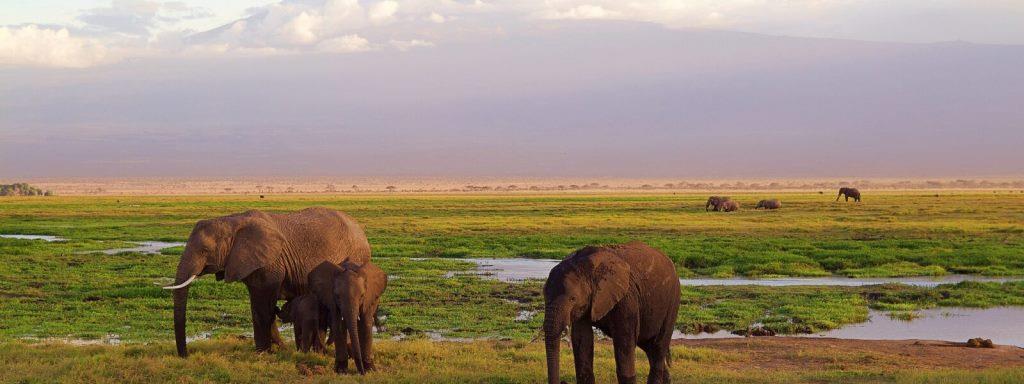 Lake Manyara National Park