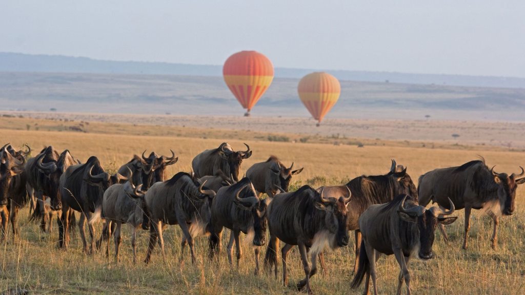 Serengeti Balloon Safari