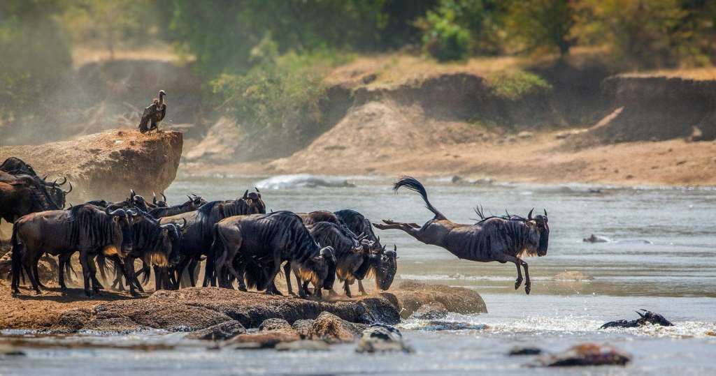 Tarangire National Park