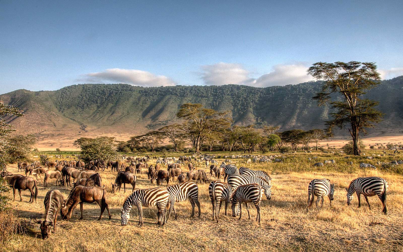 Serengeti National Park
