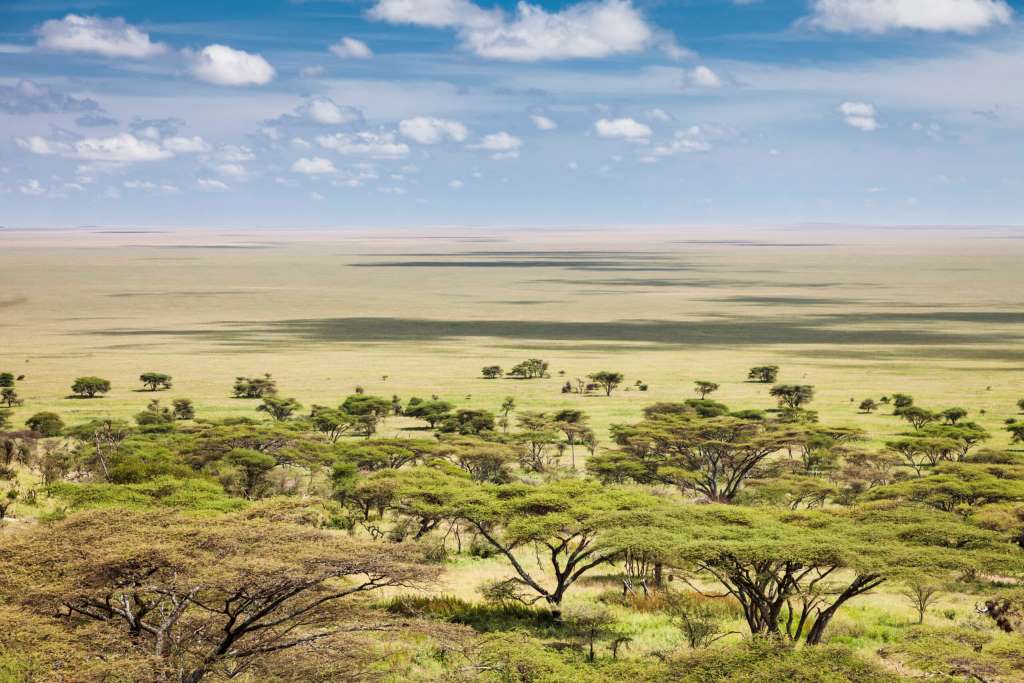 Four Seasons Safari Lodge Serengeti