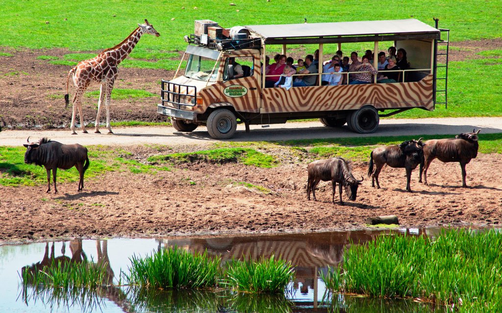 Serengeti Safari Adventure1 Gallery