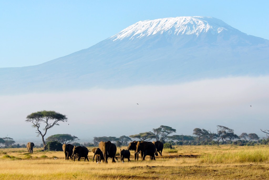 Kilimanjaro Climb